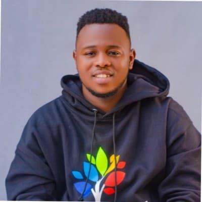Ezeugwu Romanus Chukwuemeka, Chief Executive Officer at Qubic - Professional headshot